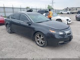 Acura Tl Elite 19UUA9F71DA800816 снимка
