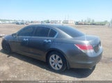 Honda Accord Ex-L V6 1HGCP3F80AA800527 photo