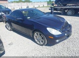 Mercedes-Benz Slk 300 WDBWK54F29F195978 photo