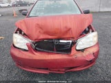 Toyota Corolla Ce/Le/S 2T1BR32E88C895716 снимка