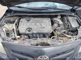 Toyota Corolla S/Le 2T1BU4EE1BC580246 photo