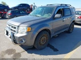 Ford Escape Xlt Automatic 1FMCU0DG4AKA27728 fotografie