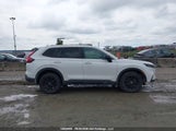 Honda Cr-V Exl 2HKRS6H72RH204448 снимка