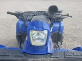 Polaris Sportsman 500 4XAMH50A05B418089 fotografie