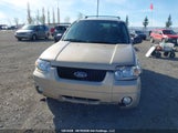 Ford Escape Limited 1FMYU94117KA27099 снимка