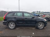 Honda Cr-V Lx 5J6RE38307L800793 photo