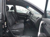Honda Cr-V Lx 5J6RE38307L800793 photo