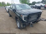 GMC Sierra  Pro 1GTUUAED1RZ195705 снимка