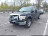 Ford F-150 Fx4/Lariat/Svt Raptor/Xl/Xlt 1FTFX1EV3AFA79937 fotografie