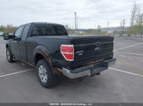 Ford F-150 Fx4/Lariat/Svt Raptor/Xl/Xlt 1FTFX1EV3AFA79937 fotografie