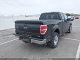 Ford F-150 Fx4/Lariat/Svt Raptor/Xl/Xlt 1FTFX1EV3AFA79937 fotografie