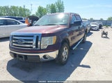 Ford F-150 Xlt 1FTFW1CV5AFD69327 снимка