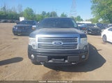 Ford F-150 Platinum 1FTFW1E65BFA66720 снимка