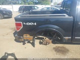 Ford F-150 Platinum 1FTFW1E65BFA66720 снимка