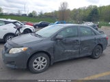 Toyota Corolla Ce 2T1BU4EE1AC196062 снимка
