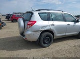 Toyota Rav4 2T3BF4DV8CW239851 снимка