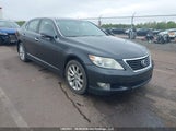 Lexus Ls 460 JTHCL5EF5B5011546 photo