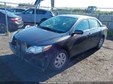 Toyota Corolla S/Le 2T1BU4EE4CC865279 fotografie