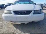 Ford Mustang 1FAFP40694F164244 снимка