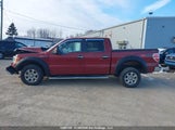 Ford F-150 Xlt 1FTFW1EF6EKE74753 снимка