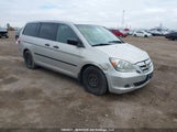 Honda Odyssey Lx 5FNRL38236B503442 снимка