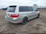 Honda Odyssey Lx 5FNRL38236B503442 снимка