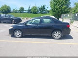 Toyota Corolla S/Le/Xle 2T1BU40E29C029776 снимка