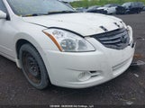Nissan Altima 2.5 1N4AL2AP6BC156456 снимка