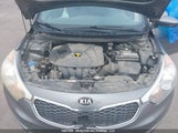Kia Forte 1.8L Lx/1.8L Lx+/1.8L Se KNAFK4A61E5128852 photo