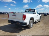 GMC Sierra C1500 3GTN8AEH5KG230490 снимка