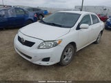 Toyota Corolla Ce 2T1BU4EE2AC259170 photo