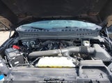 Ford F150 1FTFW4L83SFB99708 fotografie