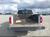 Ford F-150 Xl/Xlt 1FTEW1EB9MFA05463 снимка