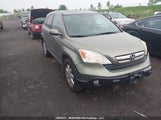 Honda Cr-V Ex-L 5J6RE48727L809150 photo
