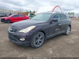Infiniti Ex35 Journey JNKAJ09F28M354386 photo