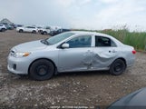 Toyota Corolla 2T1BU4EE5DC045066 снимка