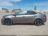 Toyota Corolla L/Le/Xle/Se/Xse 2T1BURHE5HC908284 photo