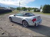 Ford Mustang Convertible 1FAFP44401F175539 снимка