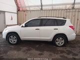 Toyota Rav4 2T3BF4DV4CW199512 photo