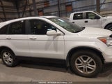 Honda Cr-V 5J6RE3H58BL800499 fotografie