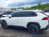 Toyota Rav4 Le 2T3Z1RFV2KC001243 fotografie