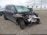 Hyundai Palisade Hybrid Nhl Special Edition/Ultimate Calligraphy Hybrid KM8RMESAXTU047964 photo