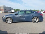 Nissan Maxima S/Sv 1N4AA51E89C859914 fotografie
