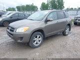 Toyota Rav4 2T3BF4DV2BW169679 photo