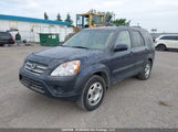 Honda Cr-V JHLRD77836C813889 photo