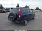 Honda Cr-V JHLRD77836C813889 photo
