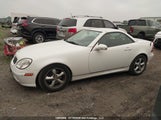 Mercedes-Benz Slk 320 320 WDBKK65F41F175609 снимка