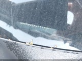 Nissan Rogue Sl JN8AS5MV3AW117334 снимка