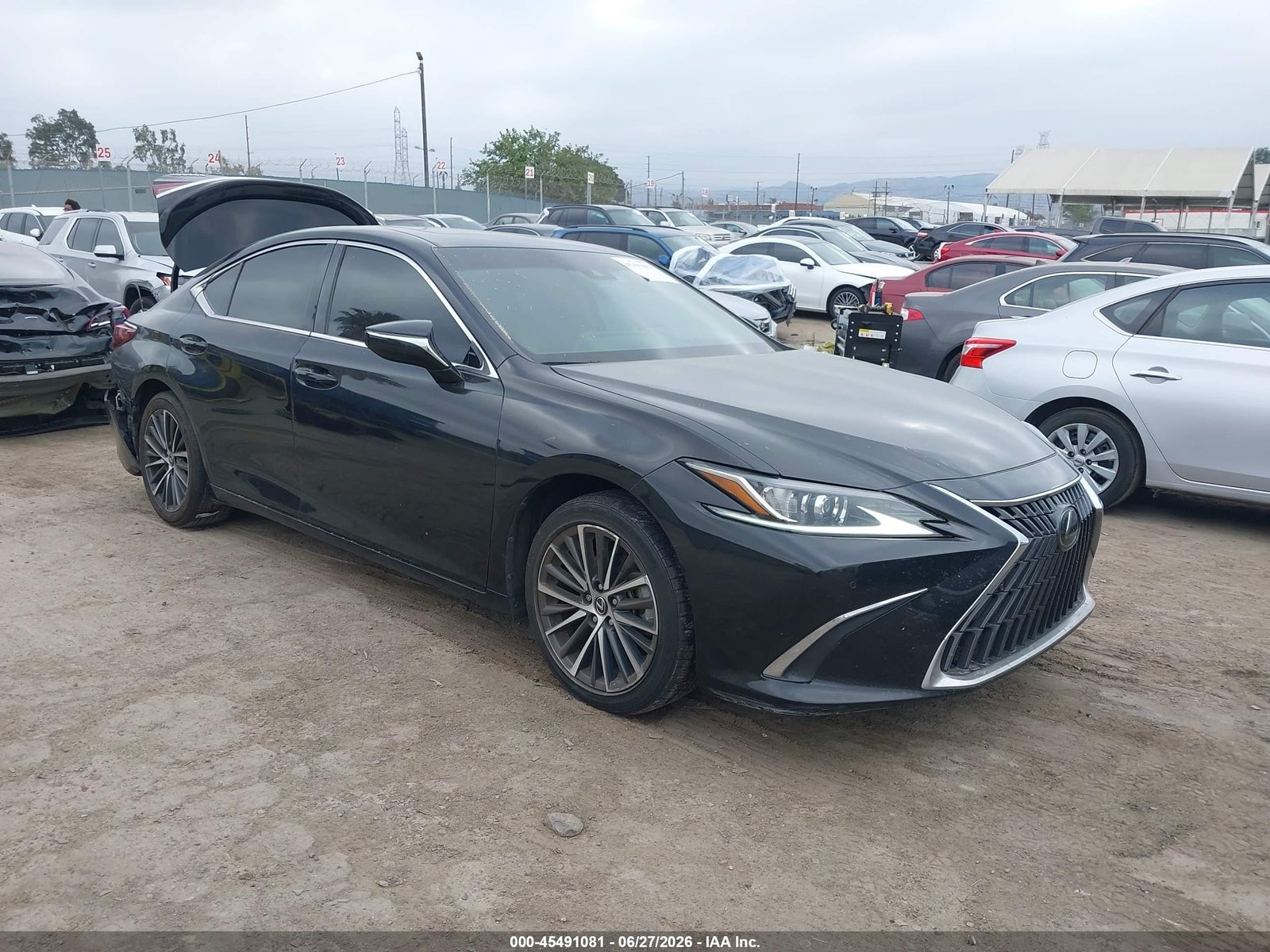 2024 LEXUS ES 300H