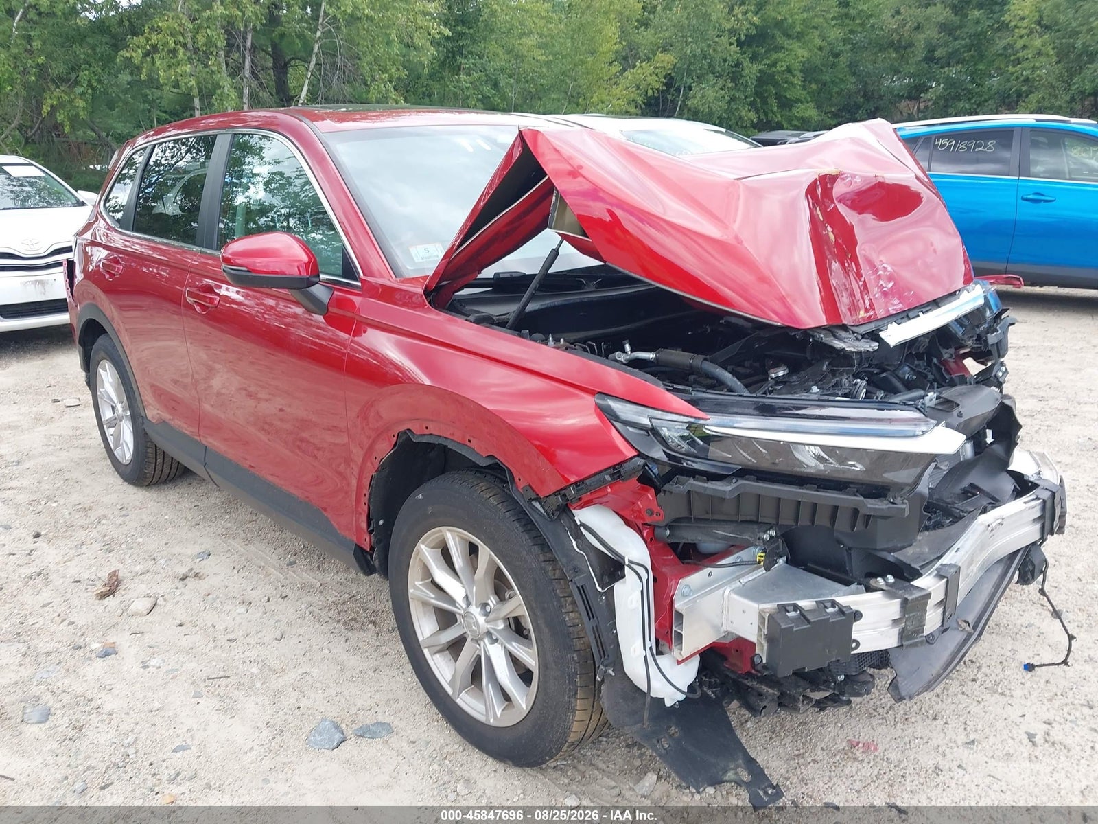 2025 HONDA CR-V EX-L AWD
